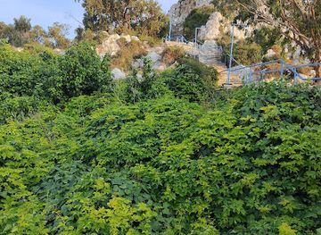 cyprus/fig-tree-bay/attraction/tourist-info-world-fig-tree-bay-beach