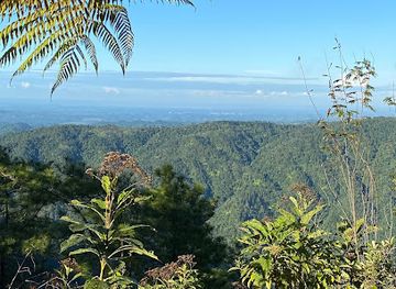 belize/crooked-tree-wildlife-sanctuary/attraction/1000-foot-falls