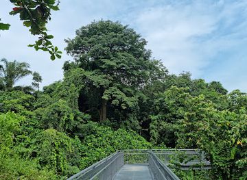 singapore/southern-ridges/attraction/forest-walk