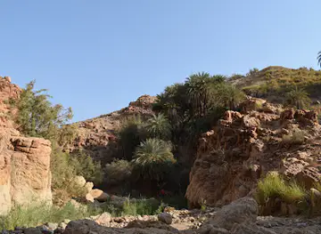 Dead Sea