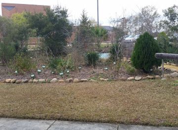 mississippi/hattiesburg/attraction/medicine-wheel-garden