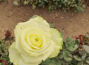 nigeria/kurra-falls/attraction/derby-farms-agro-allied-ltd