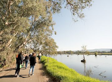 australia/murray-region/attraction/albury-murray-river-precinct