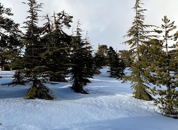 cyprus/machairas-mountains/attraction/mountain-viewpoint