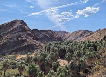 california/palm-springs/attraction/palm-canyon