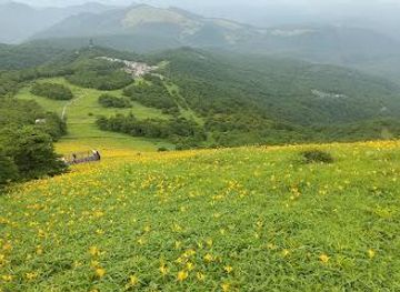 japan/nikko/attraction/nikko-kirifuri-kogen-kisuge-plains