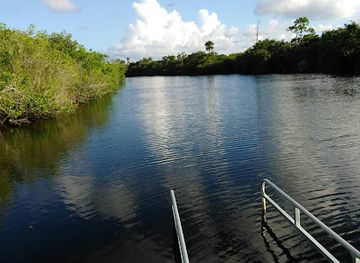 florida/treasure-coast/attraction/north-fork-saint-lucie-river-aquatic-preserve