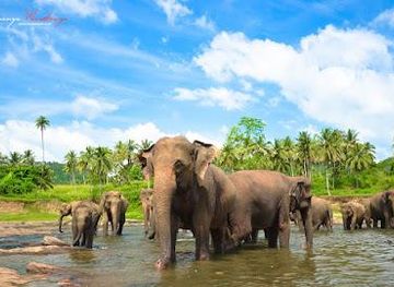 sri-lanka/negombo/attraction/jk-travels-tours