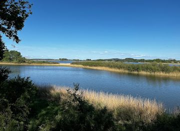 germany/mecklenburg/attraction/binsenbrink-im-teterower-see