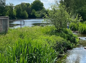 netherlands/sallandse-heuvelrug-national-park/attraction/stuw-en-vistrap-midden-regge