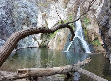 california/death-valley-national-park/attraction/darwin-falls