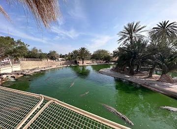 Djerba Crocodile Farm