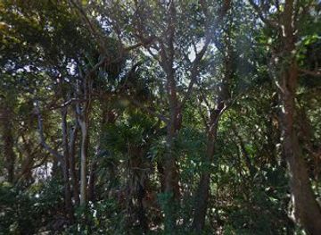 australia/byron-bay/attraction/palm-valley-loop-walking-track