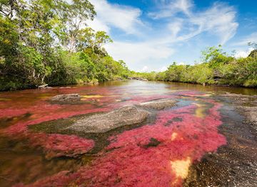 colombia/cano-cristales/attraction/waterfall-the-piano