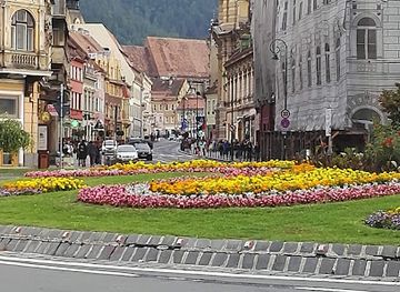 romania/brasov/tractorul/attraction/nicolae-titulescu-park