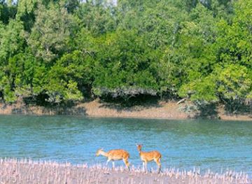 india/sundarbans/attraction/halliday-island-wildlife-sanctuary