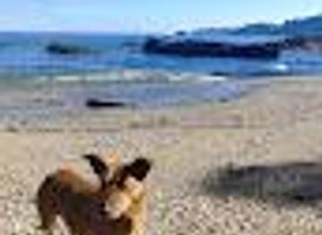 chile/concepcion/attraction/playita-los-peucos