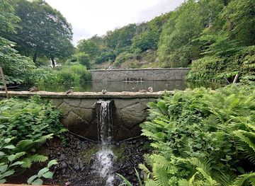 sweden/gothenburg/attraction/august-kobb-pond-waterfall