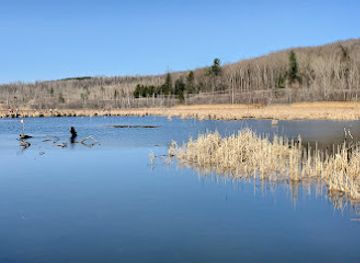 canada/eastern-townships/attraction/marais-real-d-carbonneau