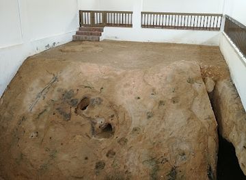 oman/salalah/attraction/the-crush-of-the-prophet-saleh-s-camel