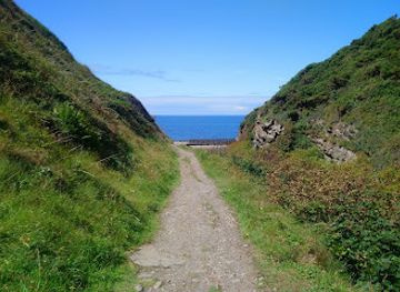 isle-of-man/glen-maye/attraction/glen-maye-area-of-special-scientific-interest