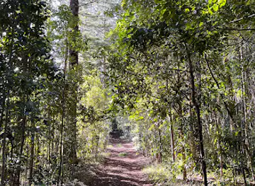 Palm Glen Track