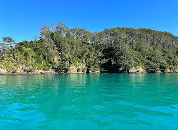 new-zealand/paihia/attraction/carino-wildlife-cruises