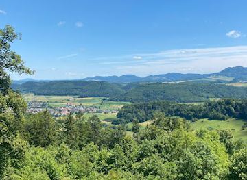 switzerland/aargau/attraction/burgruine-alt-tierstein