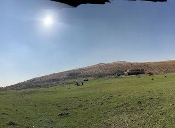 saudi-arabia/buraidah/attraction/mahmiyat-al-musnad