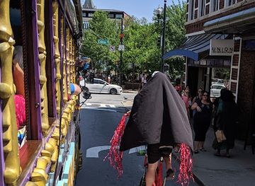 north-carolina/asheville/attraction/lazoom-tours