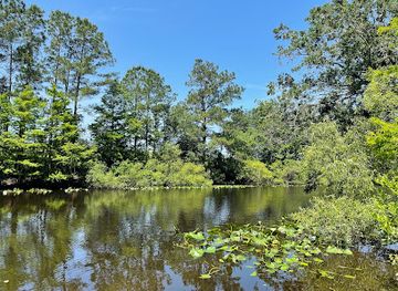 florida/juniper-springs-recreation-area/attraction/ocklawaha-prairie-restoration-area