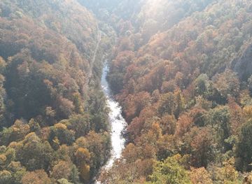 romania/bihor/attraction/pestera-caprei