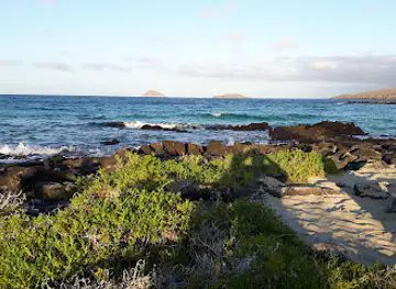 Punta Cormorant