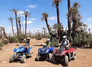 morocco/marrakech/attraction/marrakech-quad-evasion