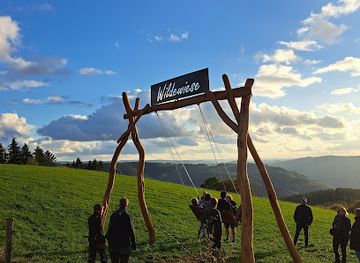 germany/sauerland/attraction/schaukel-wildewiese