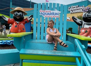 south-carolina/myrtle-beach/broadway-at-the-beach/attraction/broadway