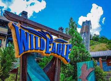 tennessee/great-smoky-mountains/attraction/wild-eagle