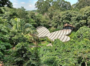 colombia/coffee-axis/attraction/quindio-botanical-garden-butterfly