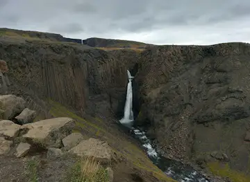 Sunnefuhylur Bessastaðaá