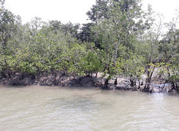 india/sundarbans/attraction/sundarban-tourism