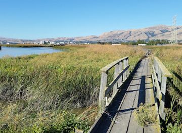california/castro-valley/attraction/don-edwards-san-francisco-bay-national-wildlife-refuge