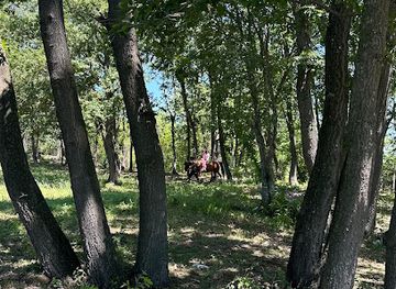 bulgaria/golden-sands/attraction/varna-ranch