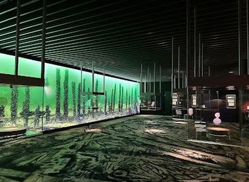 sweden/stockholm/attraction/vrak-museum-of-wrecks