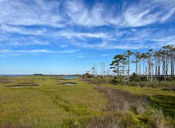 virginia/assateague-island-national-seashore/attraction/life-of-the-forest-nature-trail