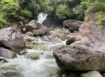 japan/yakushima/attraction/suzukawa-no-taki