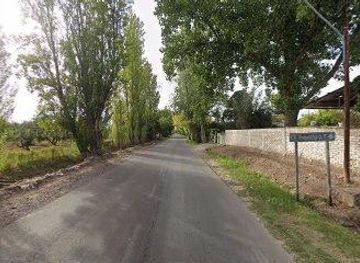 argentina/mendoza/attraction/santa-augusta-olivicola