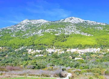 croatia/mljet-island/attraction/turisticka-zajednica-opcine-mljet