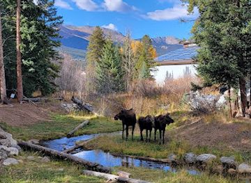 colorado/breckenridge/attraction/isak-heartstone