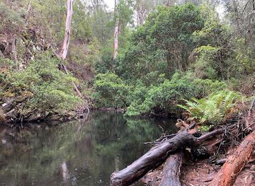 australia/gippsland/attraction/yeerung-gorge