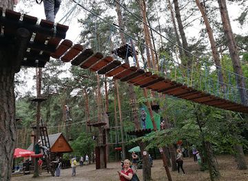 poland/kielce/attraction/park-linowy-kielce
